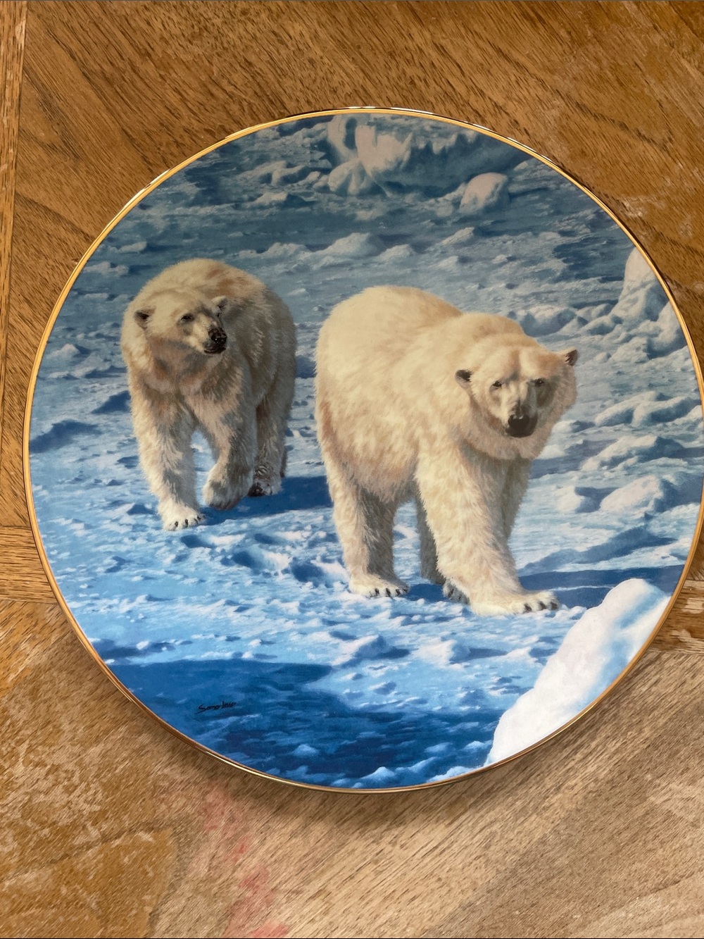 Collectible Polar Bear Decorative Plate - Blue & White